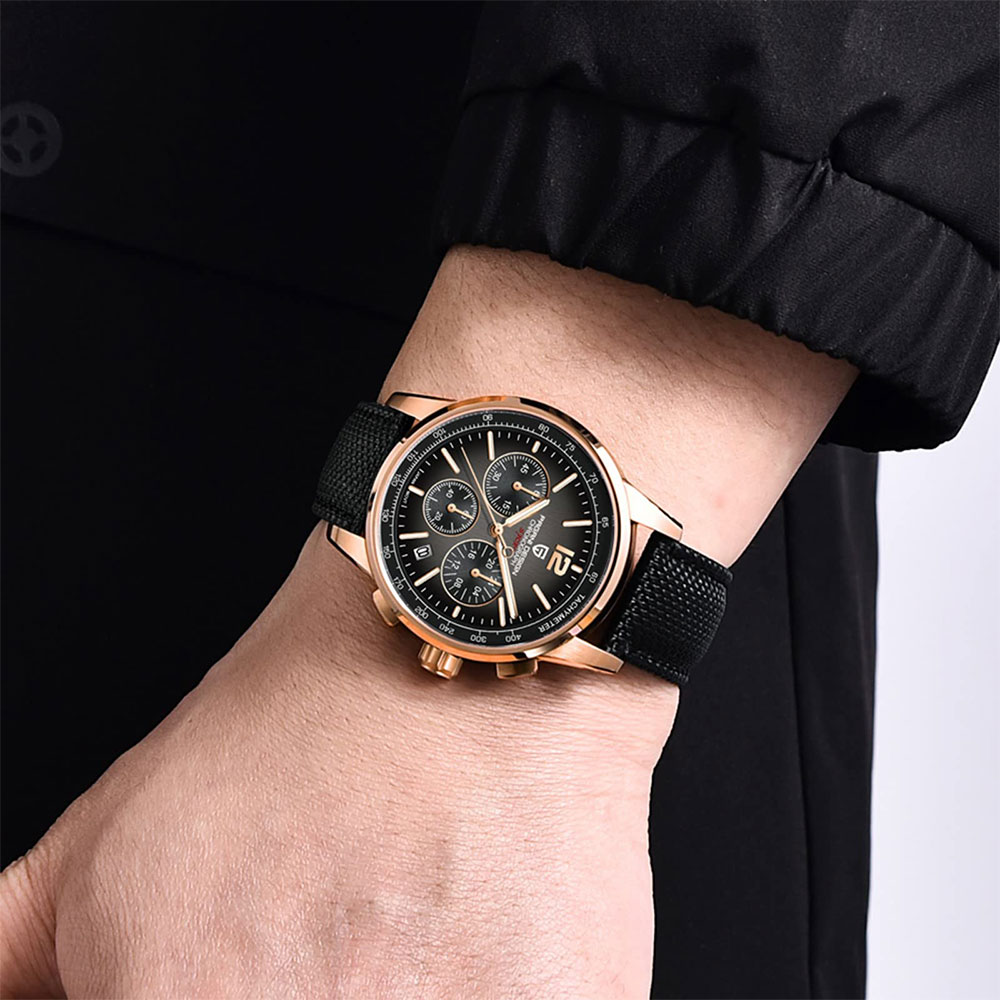 PAGANI DESIGN New Mens Watch 4 - Luxury Quartz Watch Brands 评论和价格